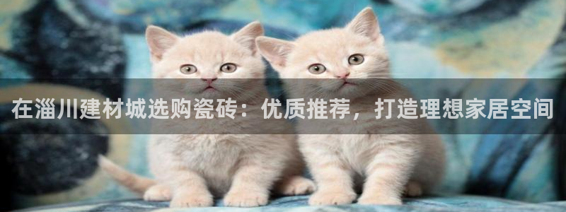 杏鑫平台野马联盟怎么样