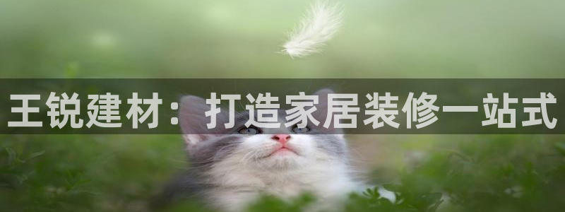 杏鑫官方app代理