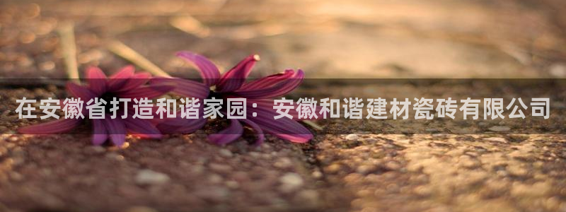 杏鑫平台正规吗可信吗