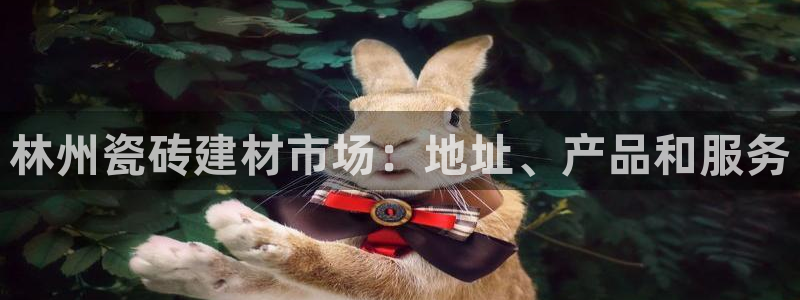 杏鑫娱乐平台登录