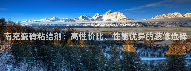 杏鑫娱乐开发团队