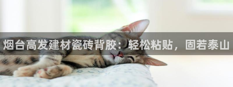 杏鑫娱乐平台测速