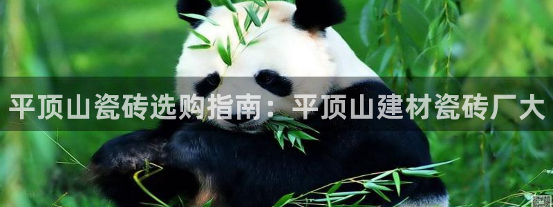 杏鑫娱乐测速