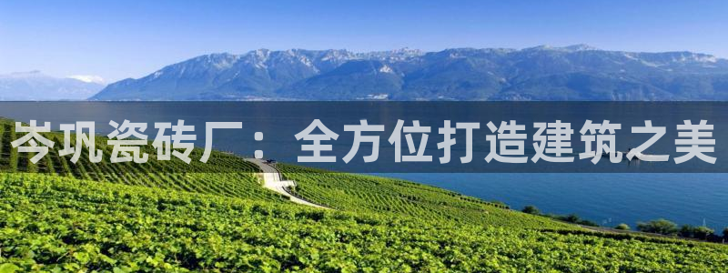 杏鑫平台登陆