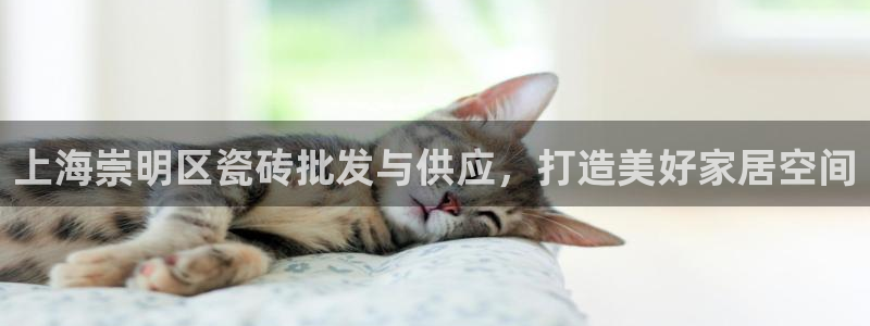 杏鑫平台注册登录