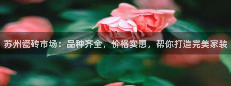 杏鑫有亏损返点吗