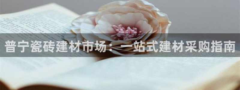 杏鑫注册登录代理公司