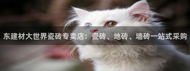 杏鑫平台代理注册登录不了怎么办呀视频