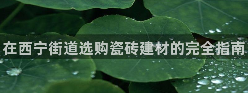 杏鑫娱乐平台登录注册网站