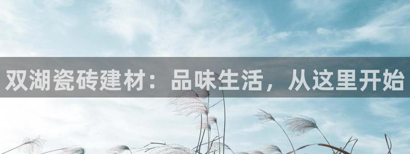 杏鑫手机客户端