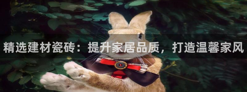 杏鑫平台代理怎么样啊