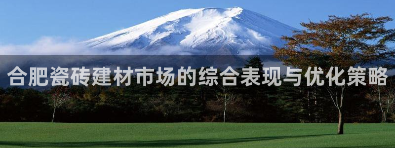 杏鑫娱乐开发团队