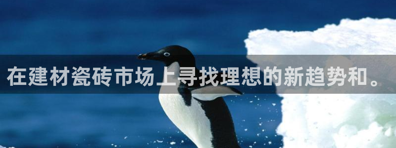 杏鑫平台代理注册流程图