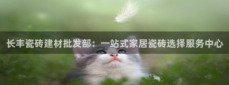 杏鑫官网注册账号是什么意思