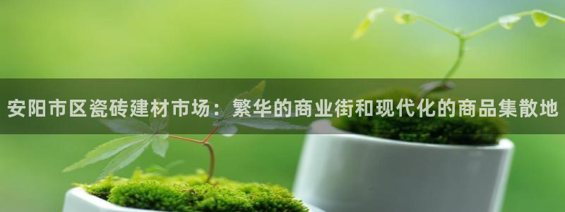 杏鑫平台代理怎么样