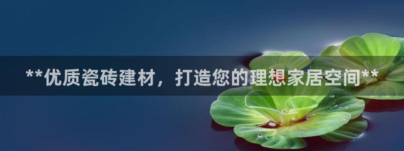 杏鑫官网最新信息