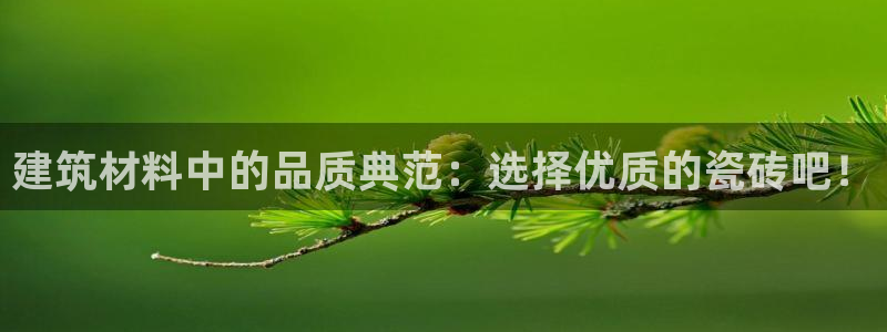 杏鑫平台官方网站