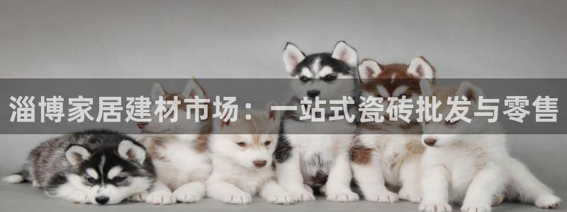 杏鑫手机客户端