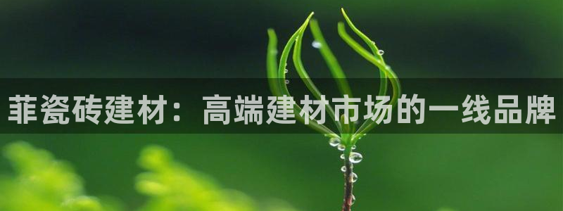 杏鑫代理注册资金多少