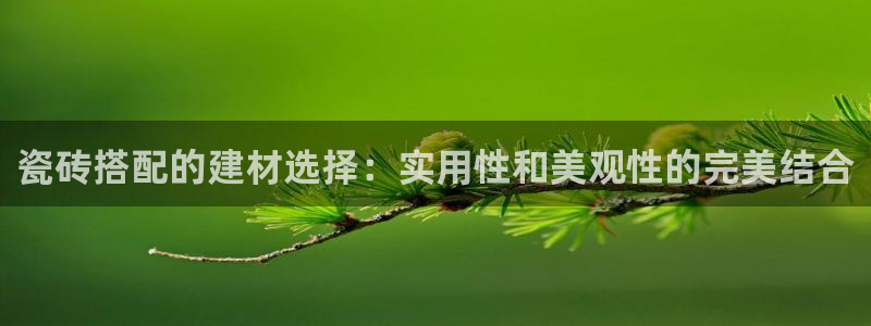 杏鑫平台测速怎么样