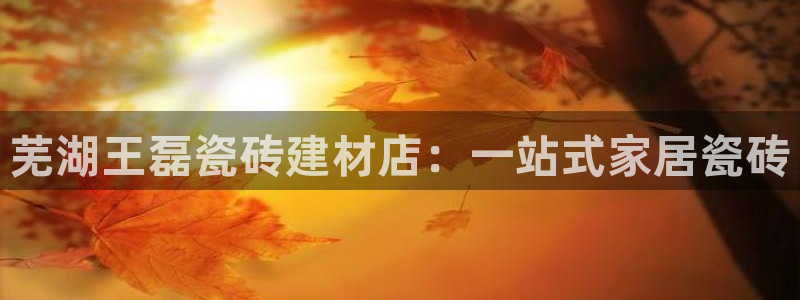 杏鑫平台代理怎么样