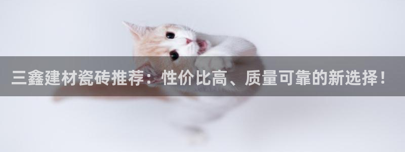 杏鑫平台代理注册多少钱一个