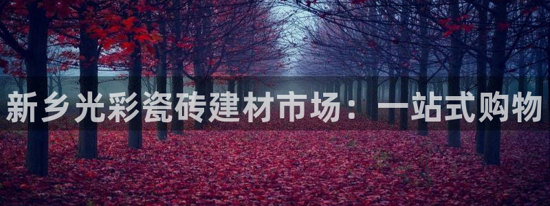 杏鑫平台登录注册