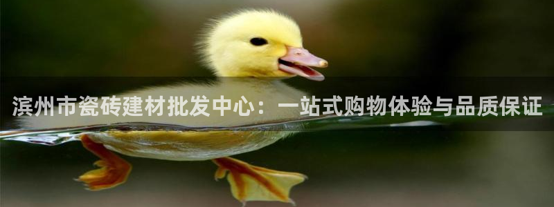 杏鑫官网注册账号密码是多少