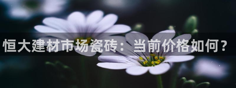 杏鑫注册登录网址是多少