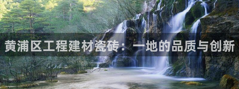 杏鑫平台登录地址查询