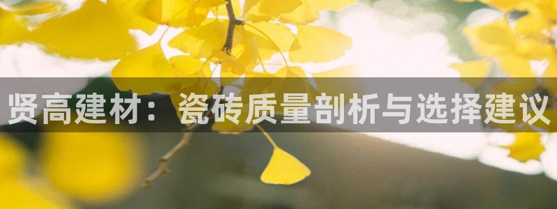 杏鑫平台登录地址在哪