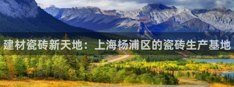 杏鑫平台登录地址是什么