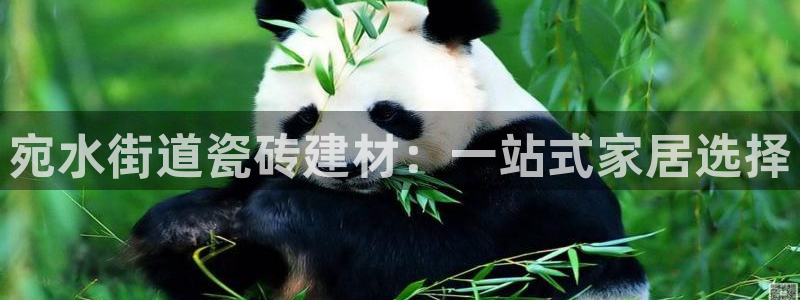 杏鑫平台怎么样黑钱吗安全吗是真的吗